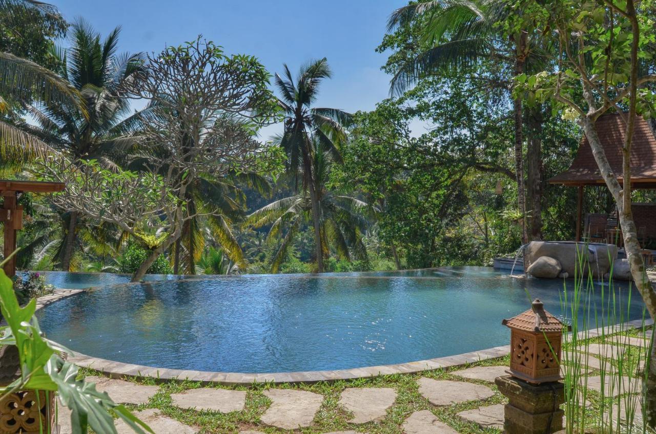 Suite con Vista Piscina