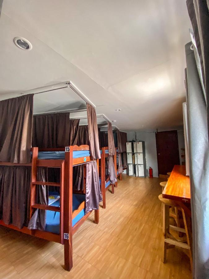Bunk Bed in Mixed Dormitory Room