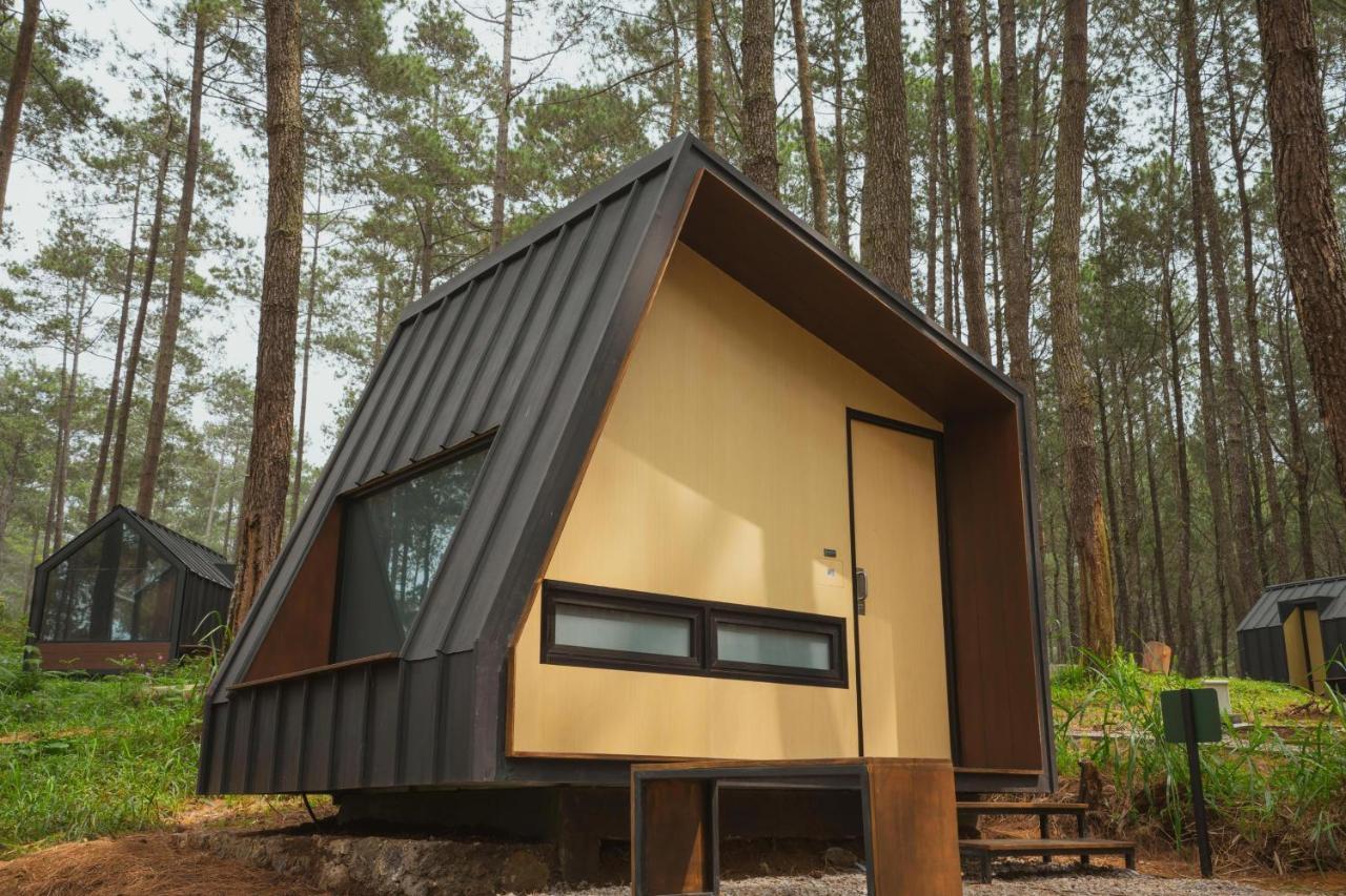 Standard Cabin with Shared Bathroom