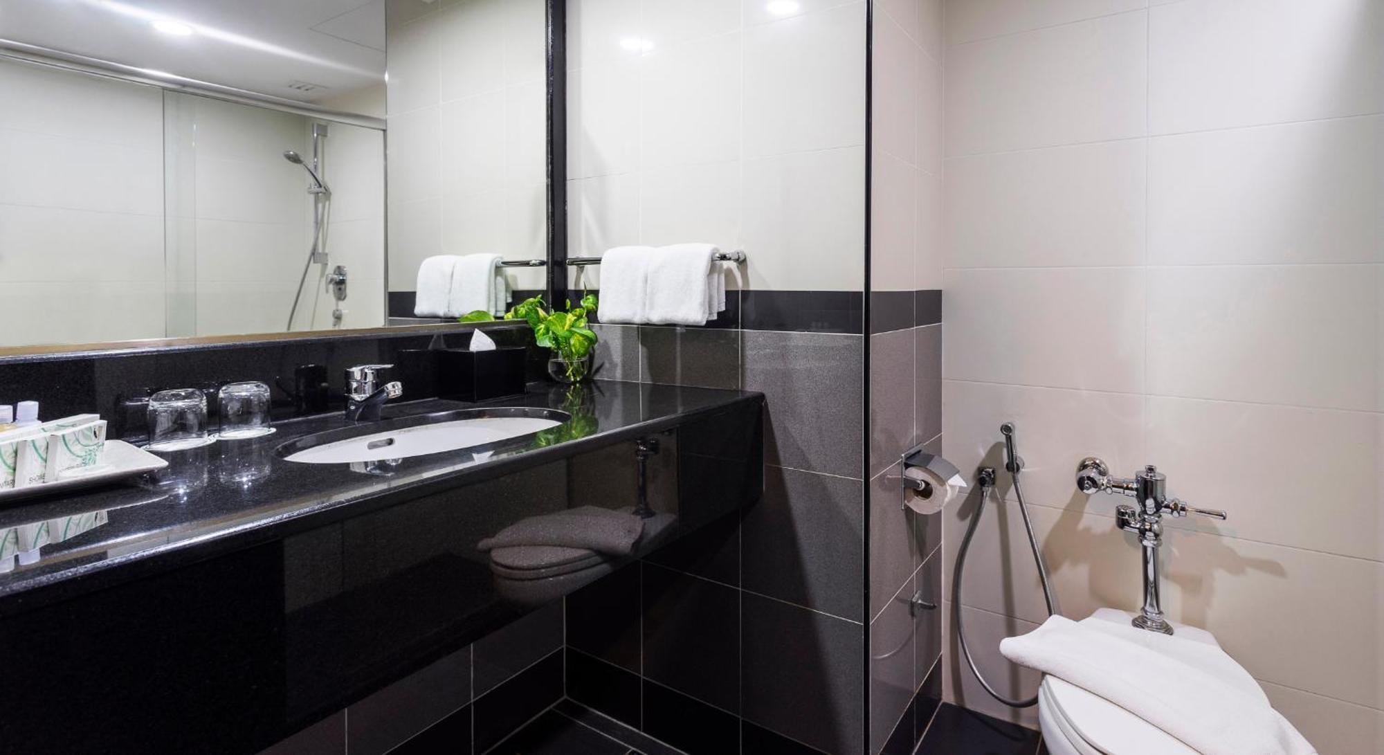 Superior Double or Twin Room with City View