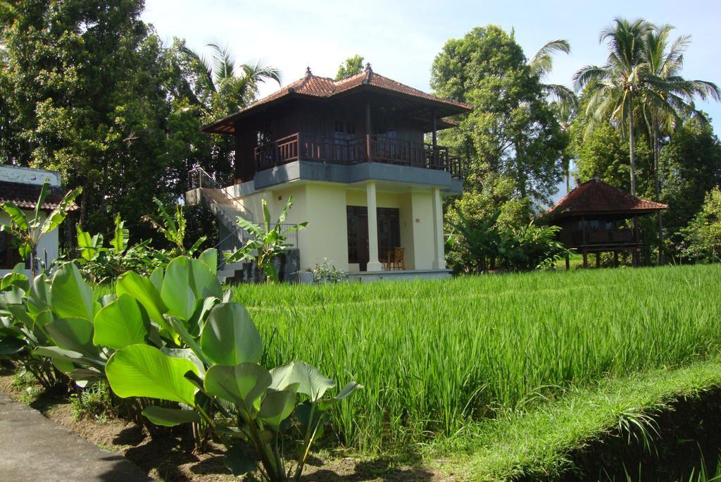 Bungalow de Luxe - Vue sur Rizière
