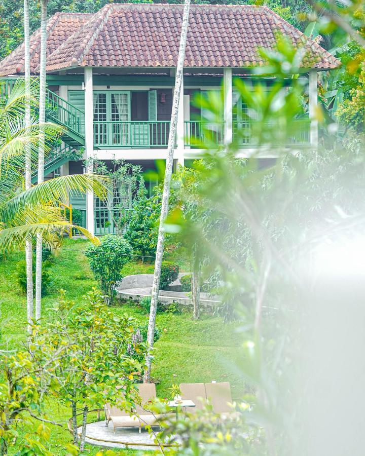 Aanbieding - Bukit Lawang Excursie Arrangement met Deluxe Cottage