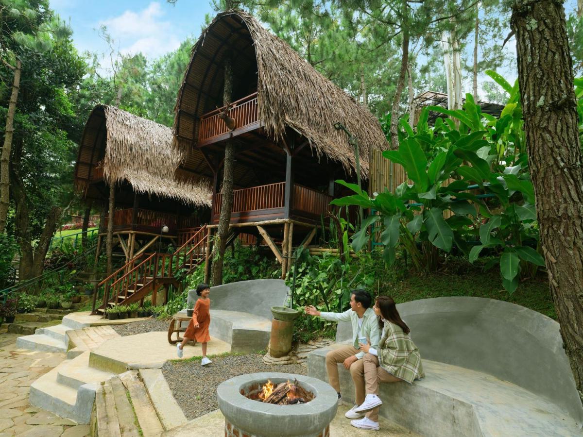 Rumah Pohon