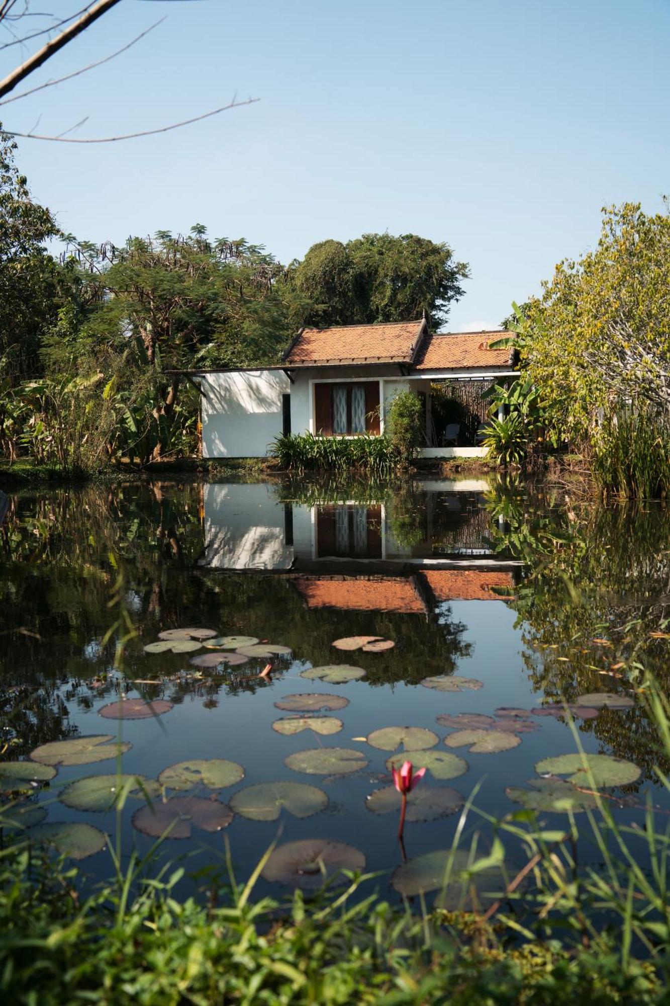 King Room Lake View