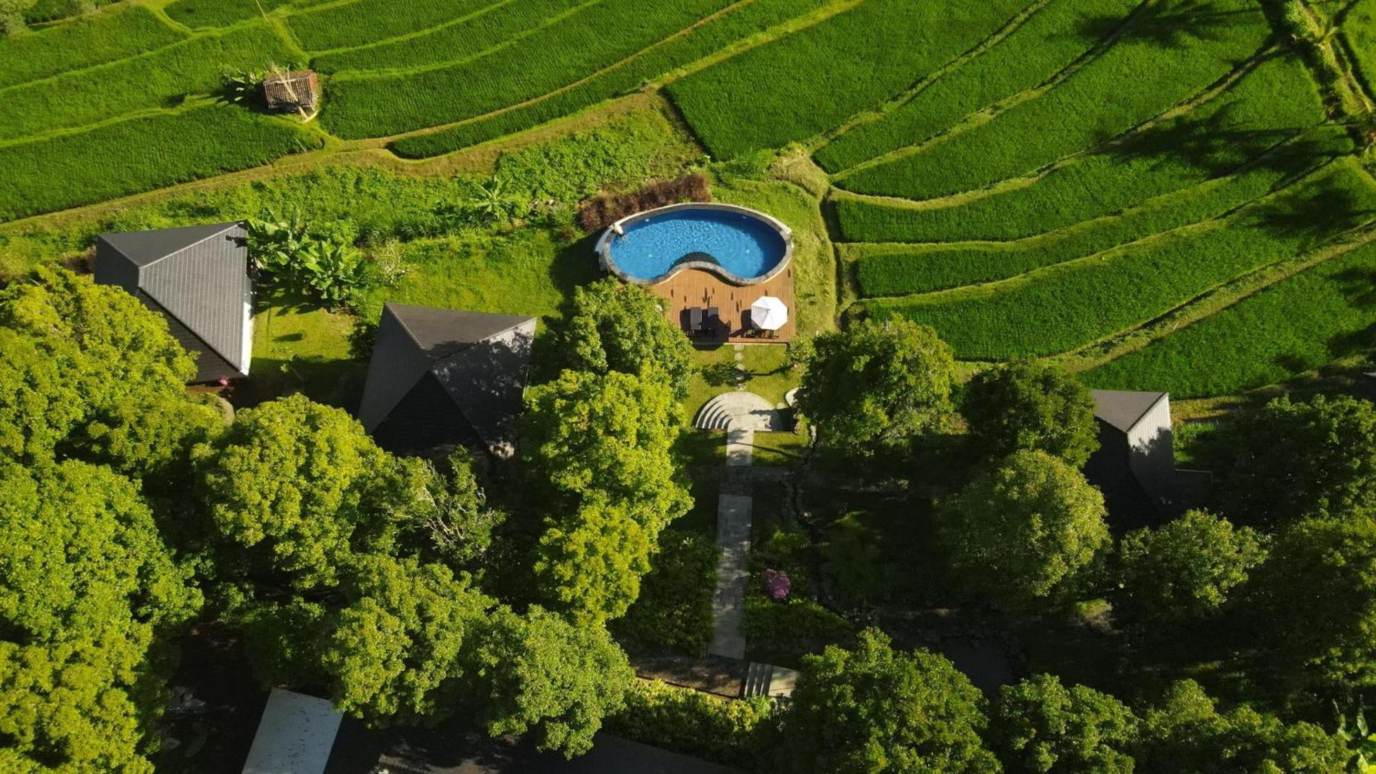 One-Bedroom Villa,1639494377:JPEG