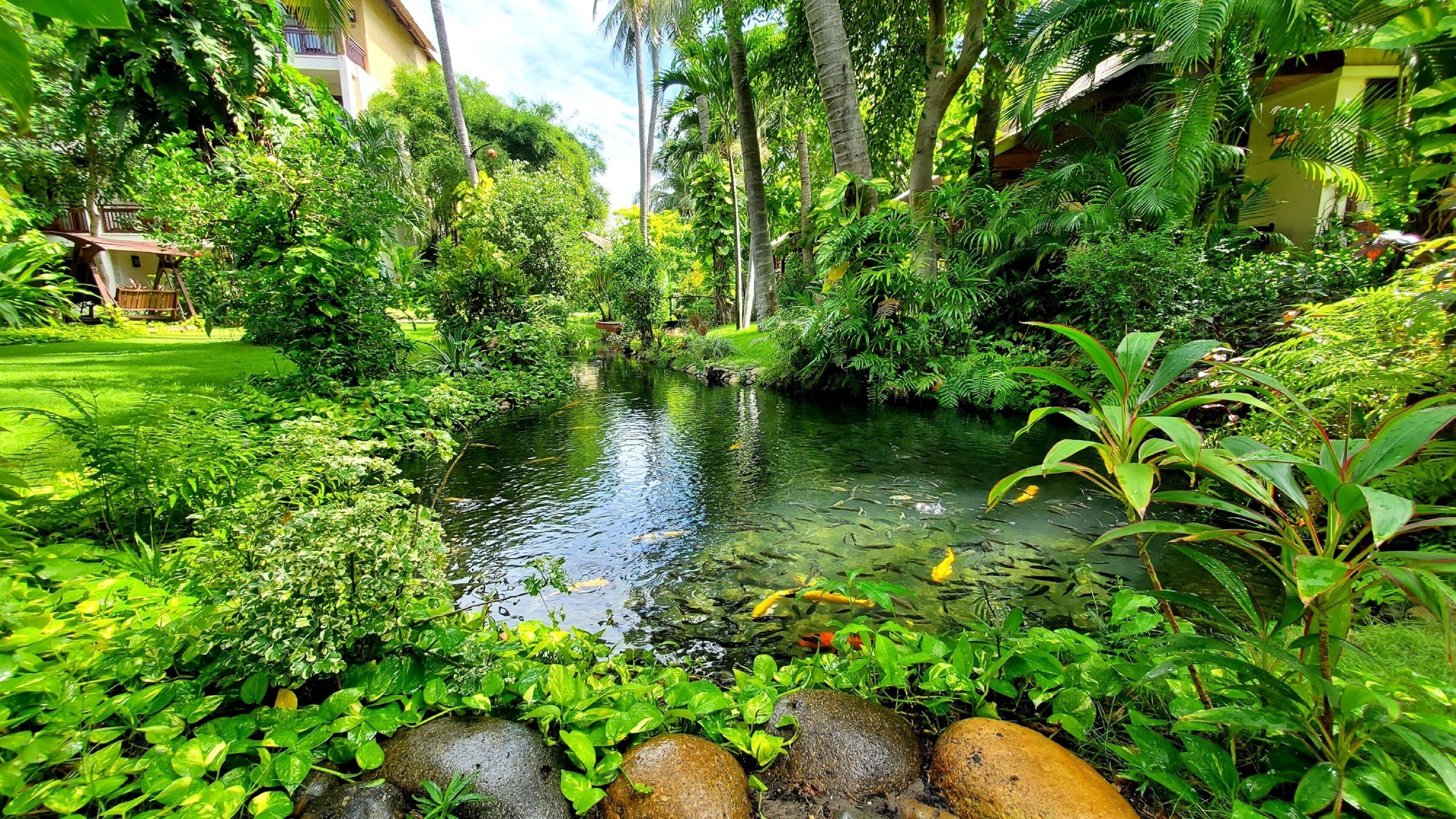 Serene Oasis Bungalow Garden View