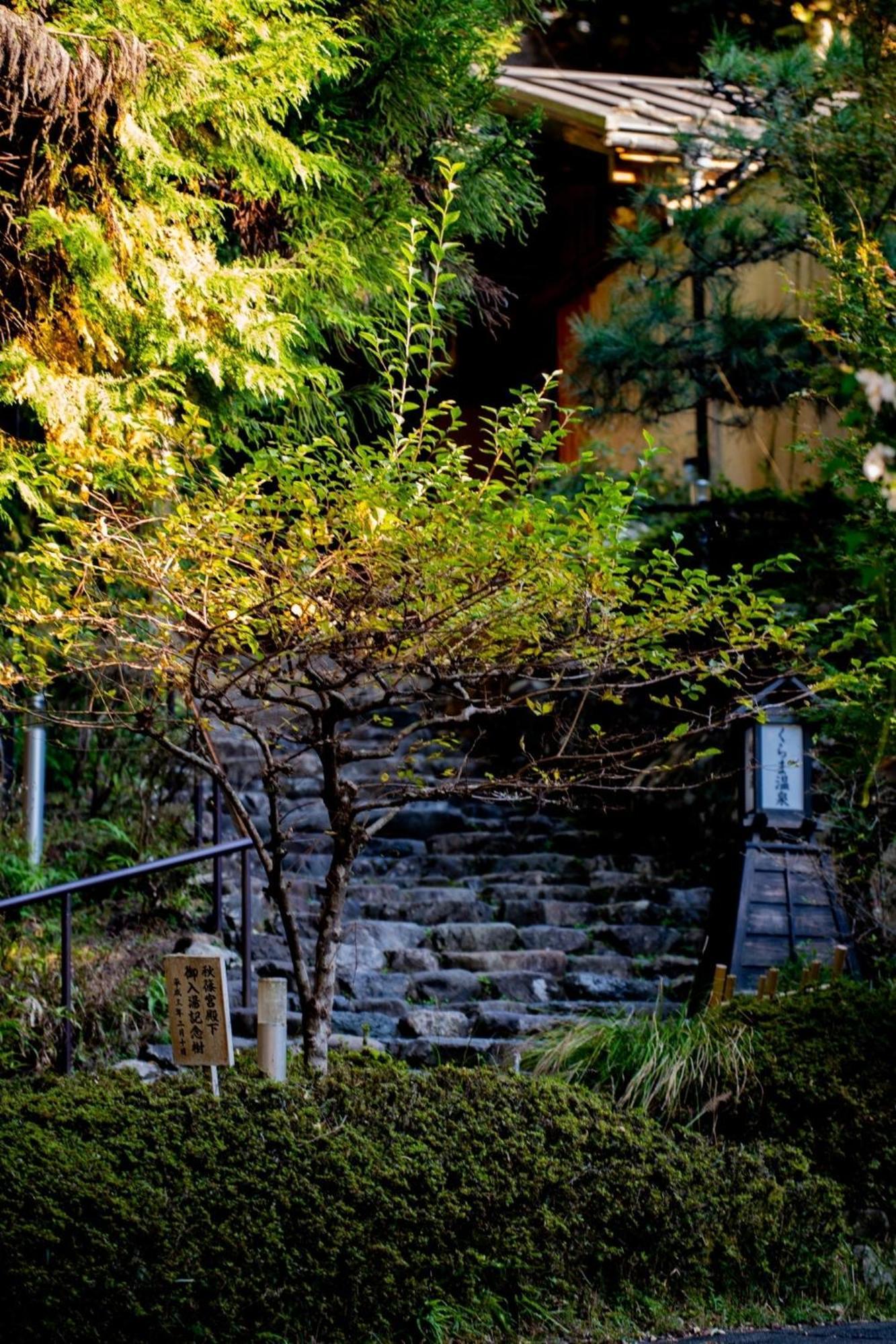 Family Room Mountain View