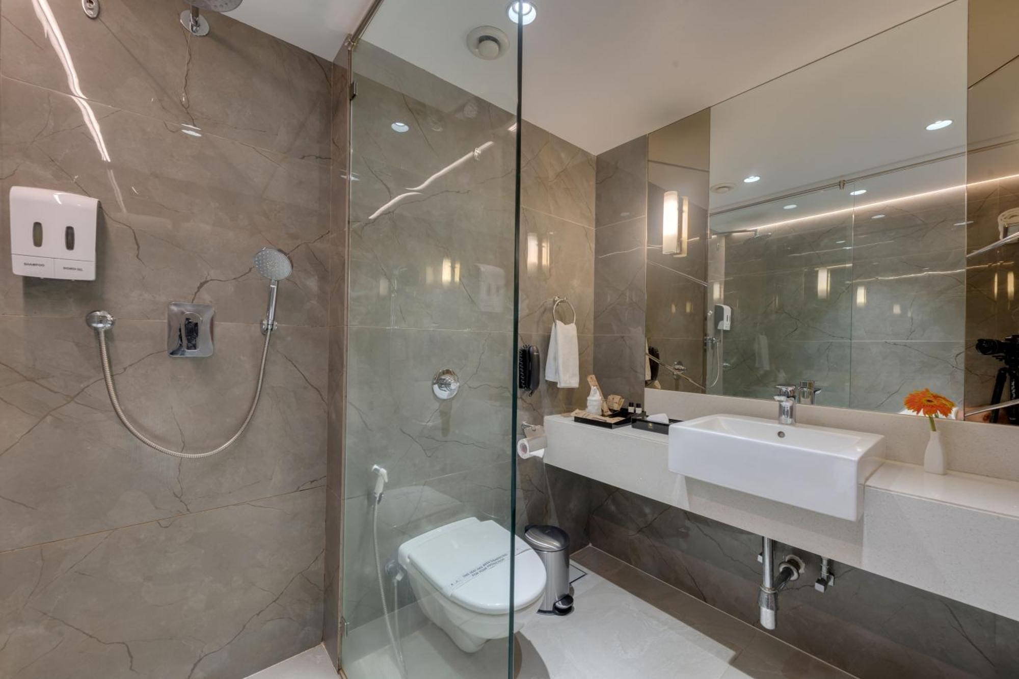 Deluxe Room (10% discount on Laundry)