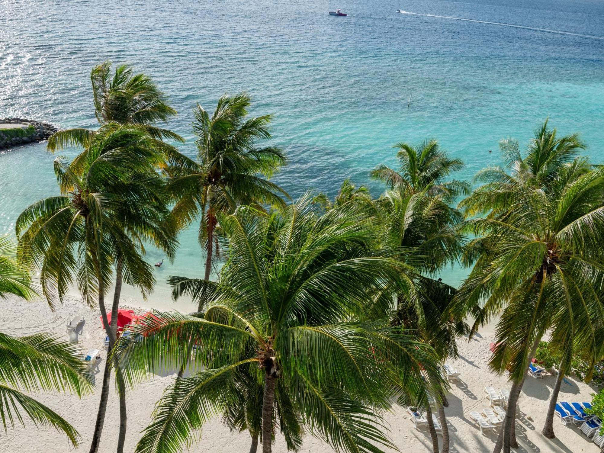 King Suite Balcony Seaview