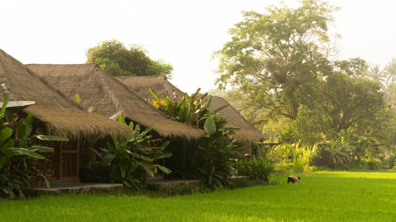 Deluxe Double Room with Rice Field View
