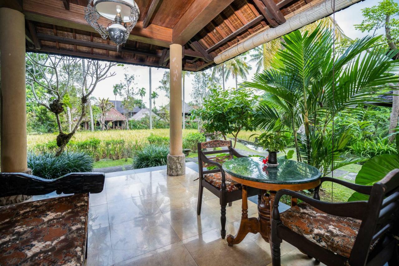 Hébergement de Luxe - Vue sur Jardin