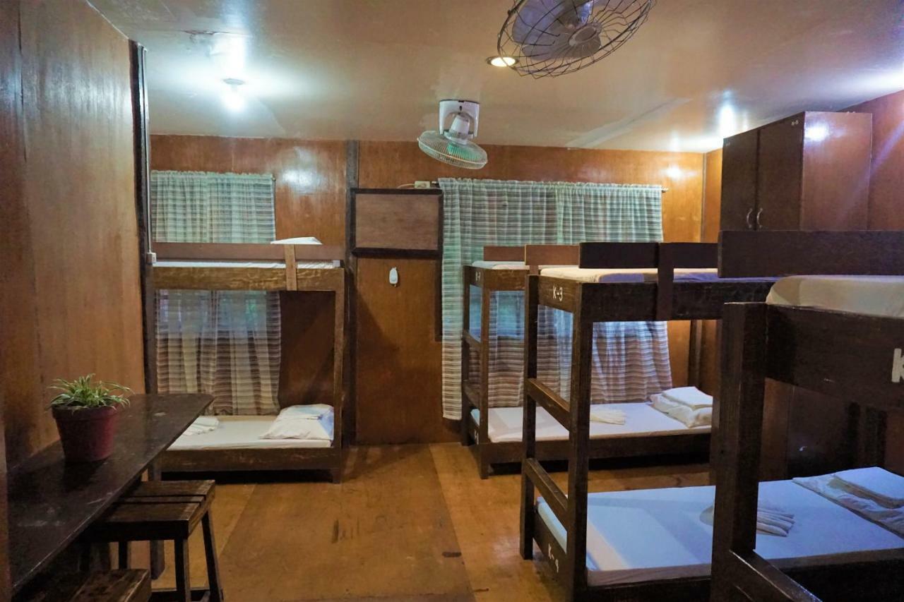 Bunk Bed in Mixed Dormitory Room
