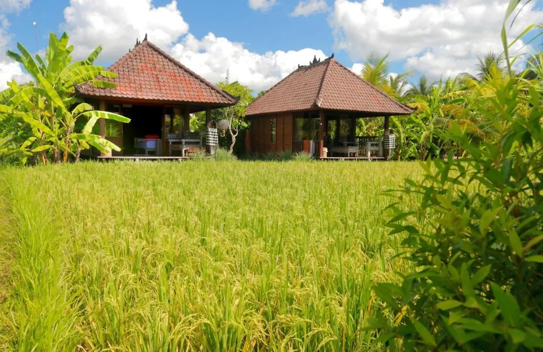 Keramas Surf Camp-1