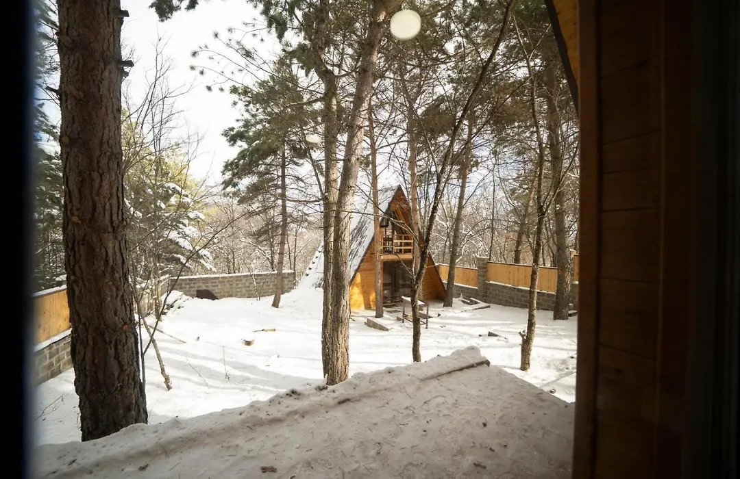 Woodland Cottages-1