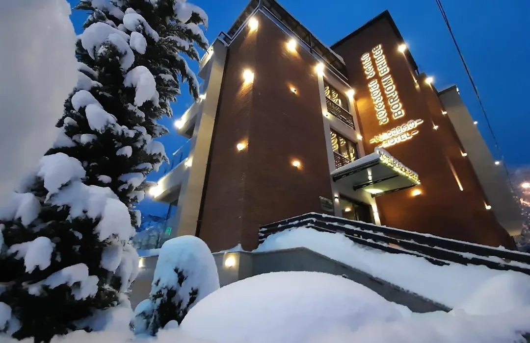 Borjomi Bridge Hotel-1