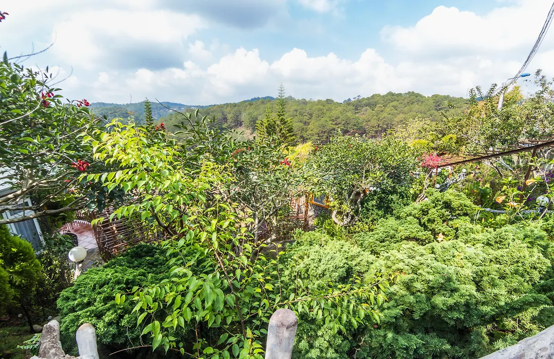 Zen Valley Dalat-1
