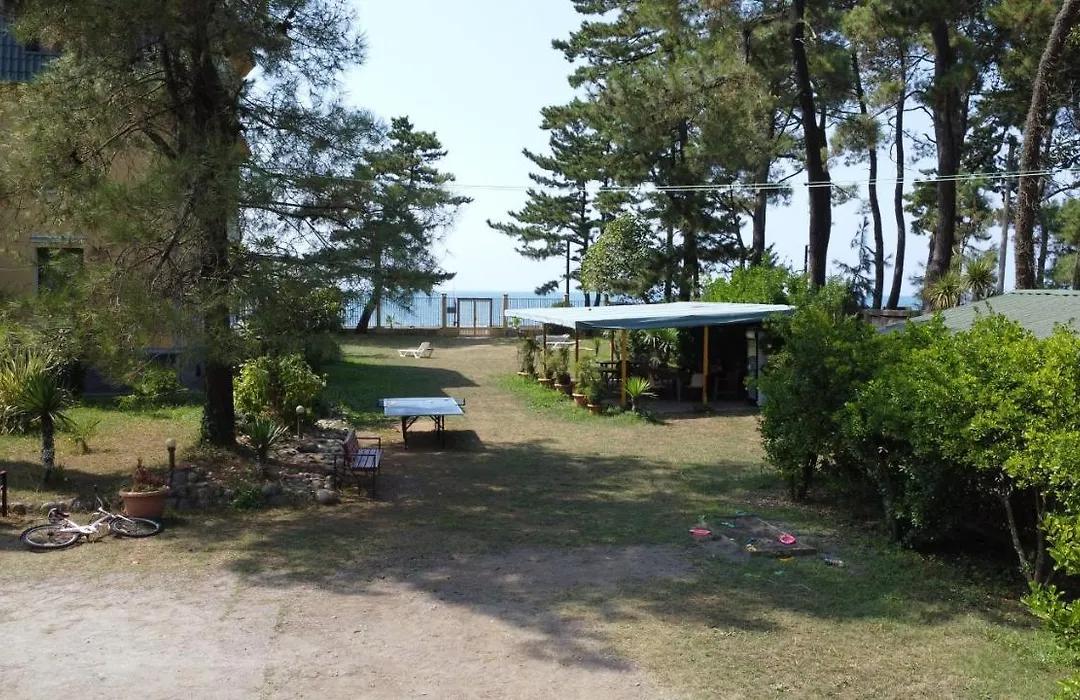 Marshal Resort Kobuleti-1