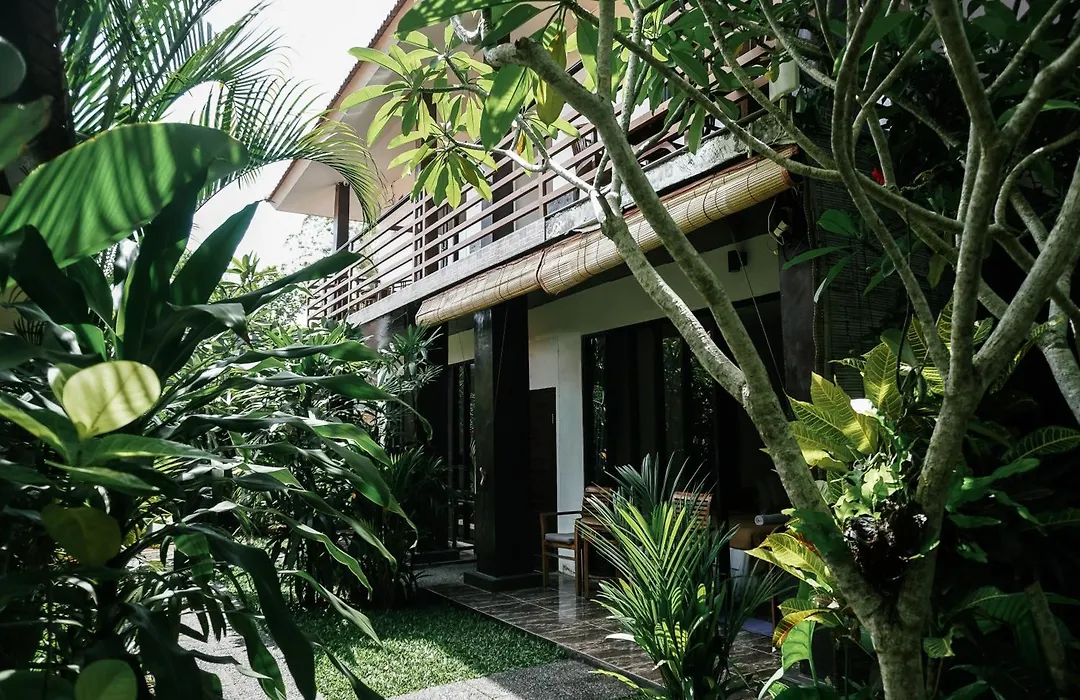 De Olas Padang Padang Bali-1