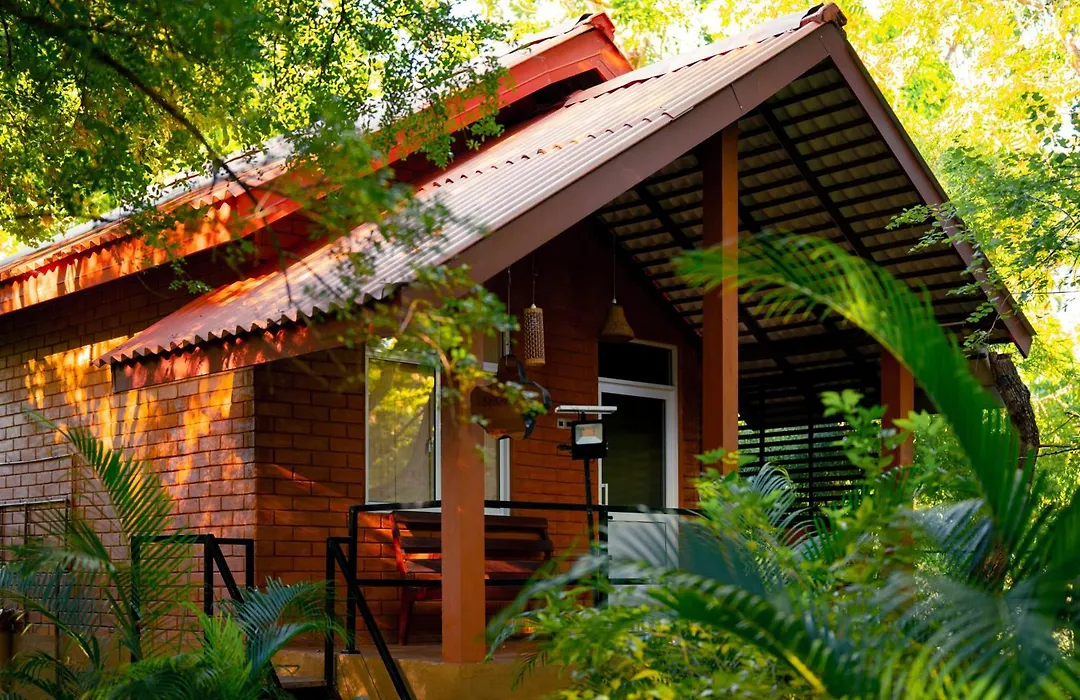 Safari Lodge Yala-1