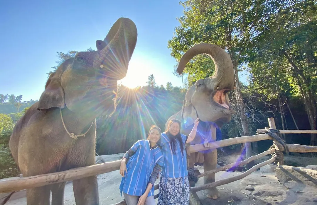 My Chiangmai Boutique Lodge-1