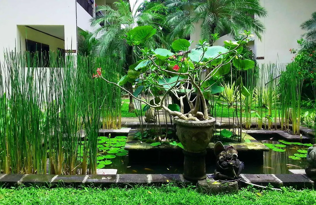 Legian Paradiso Hotel-1
