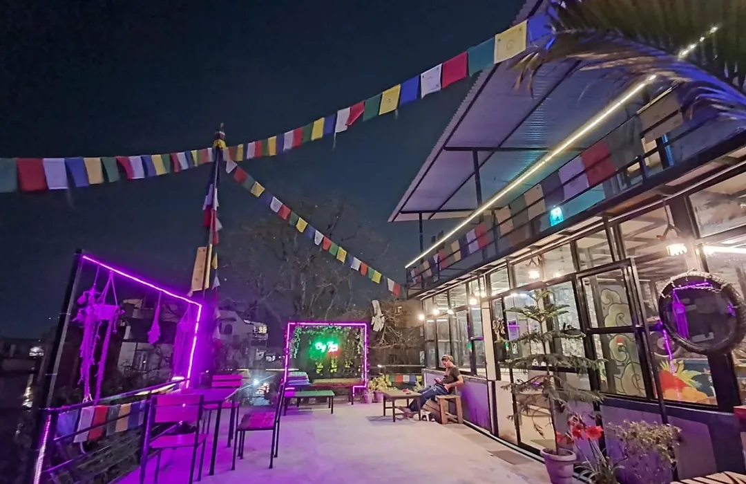 Big Tree Hostel-1