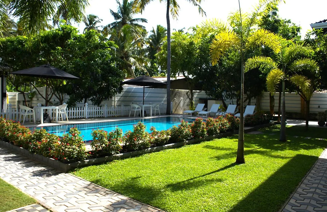 Wetland Resort-1