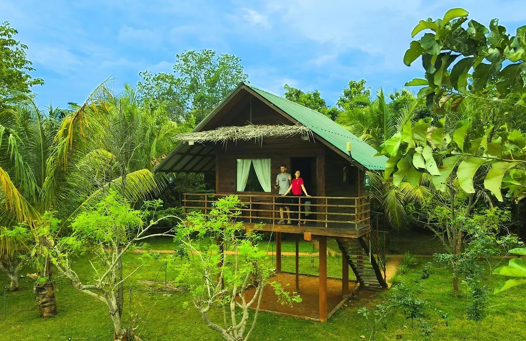 Chena Huts Eco Resort-1