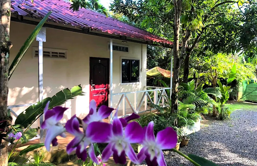 Green Mango Bungalows-1