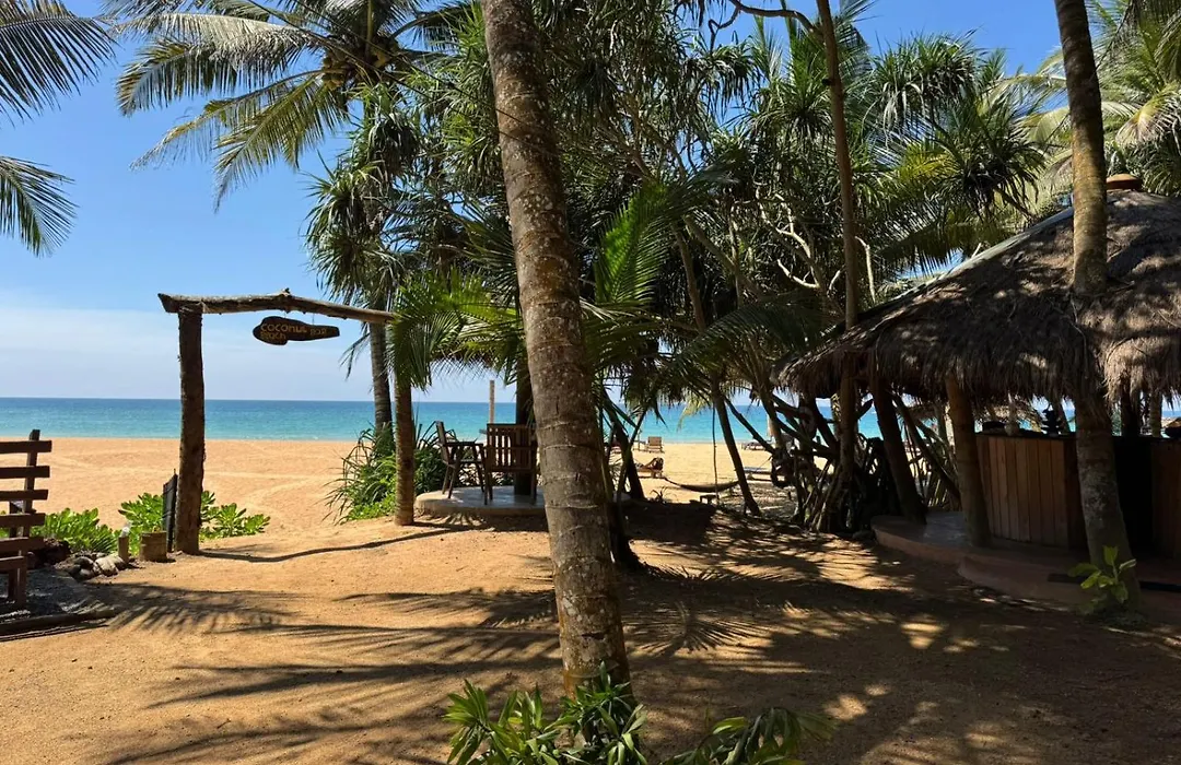 Coconut Beach-1