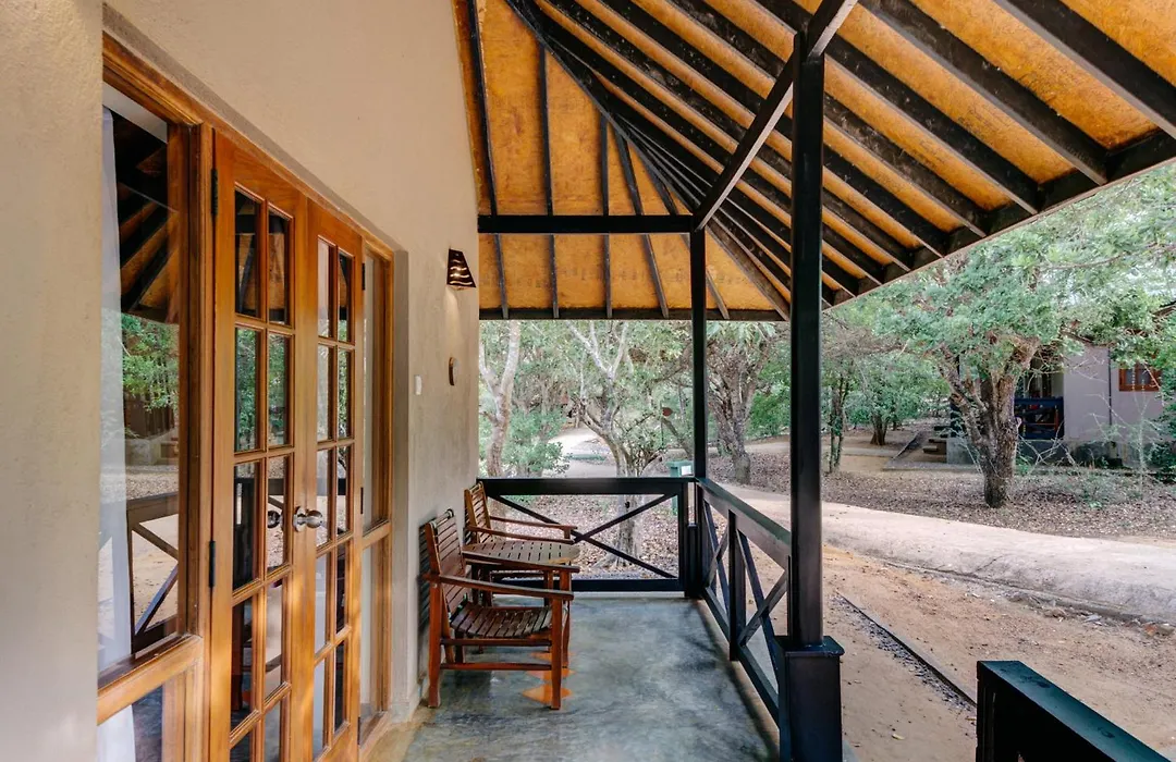 Cinnamon Wild Yala-1
