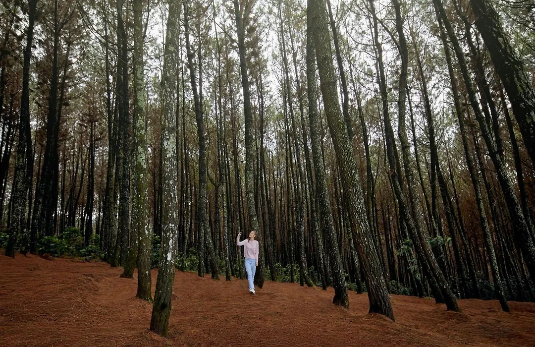 Four Points By Sheraton Bandung-1