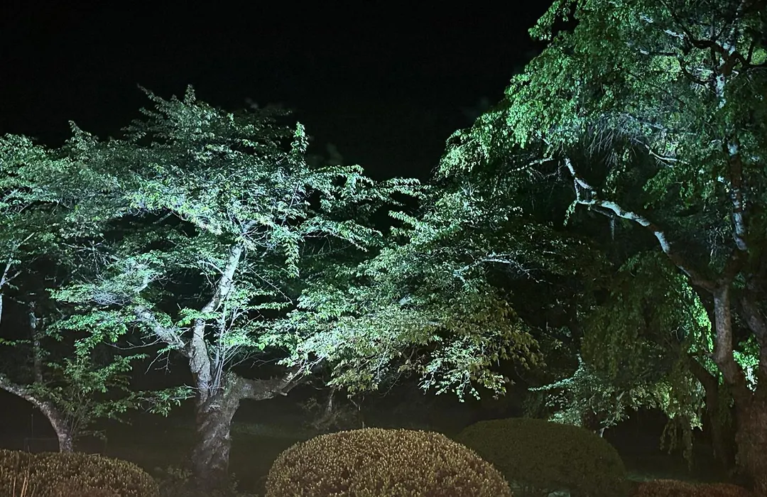 Fuji View Hotel-1