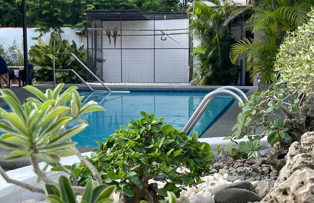 Parrot Resort Moalboal-1