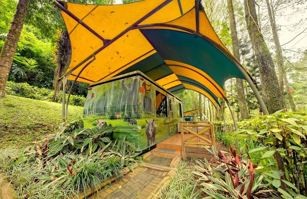 Safari Resort-1