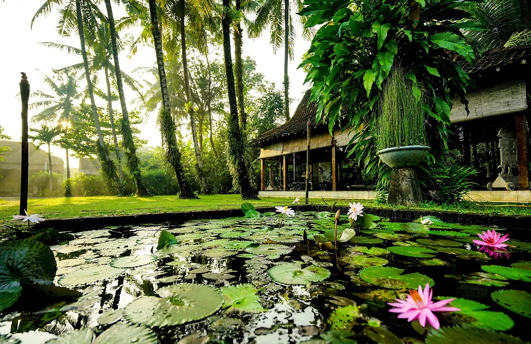 D'Omah Yogya Hotel-1