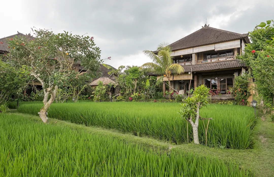 Bliss Ubud Spa Resort-1