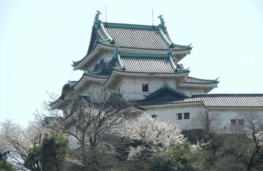 Wakayama Daiichi Fuji Hotel-1