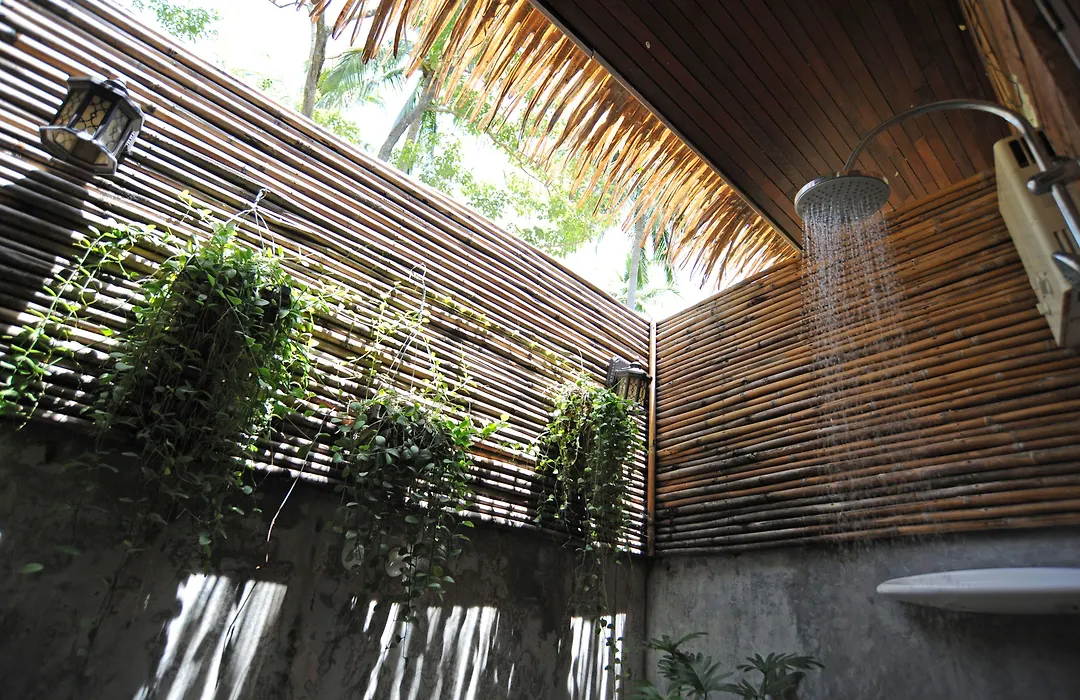 The Jungle Club-1