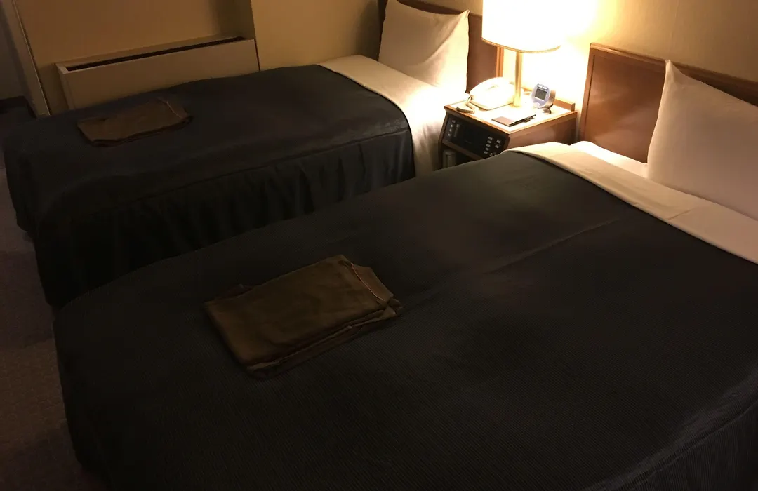 Niigata Daiichi Hotel-1