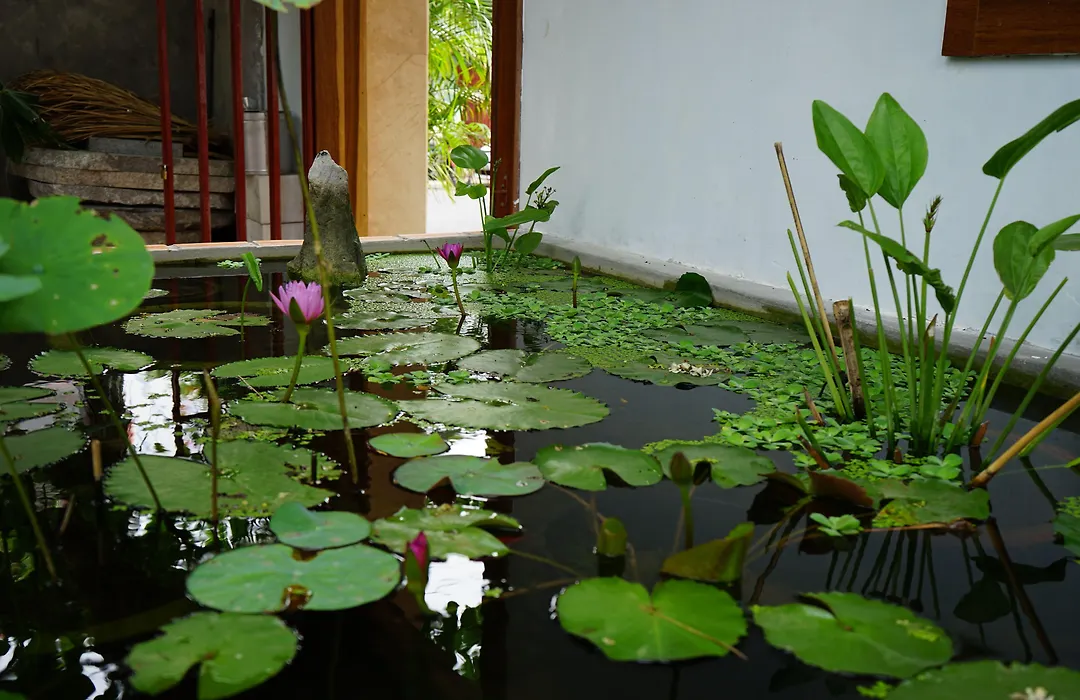 Seasing Boutique Hotel-1