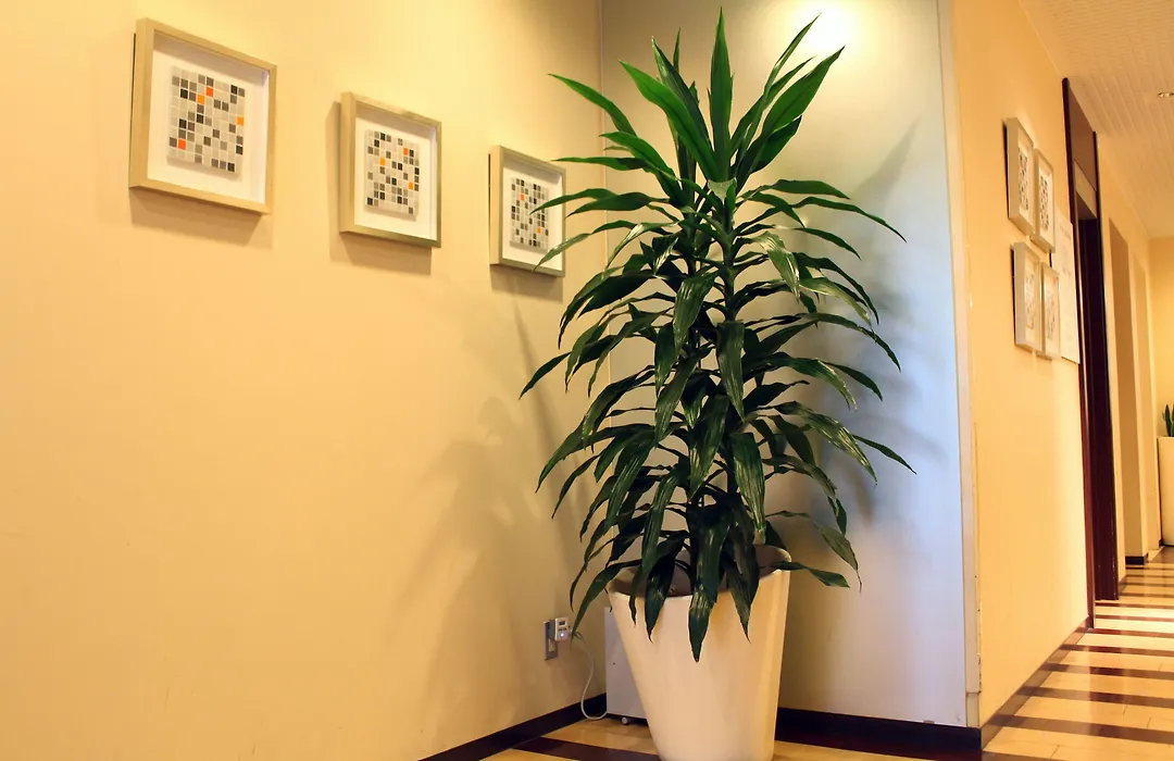 Hotel S-Plus Nagoya Sakae-1