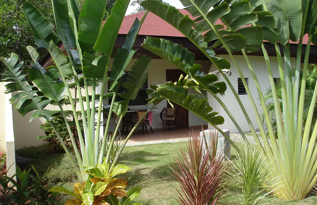 Alona Swiss Resort-1