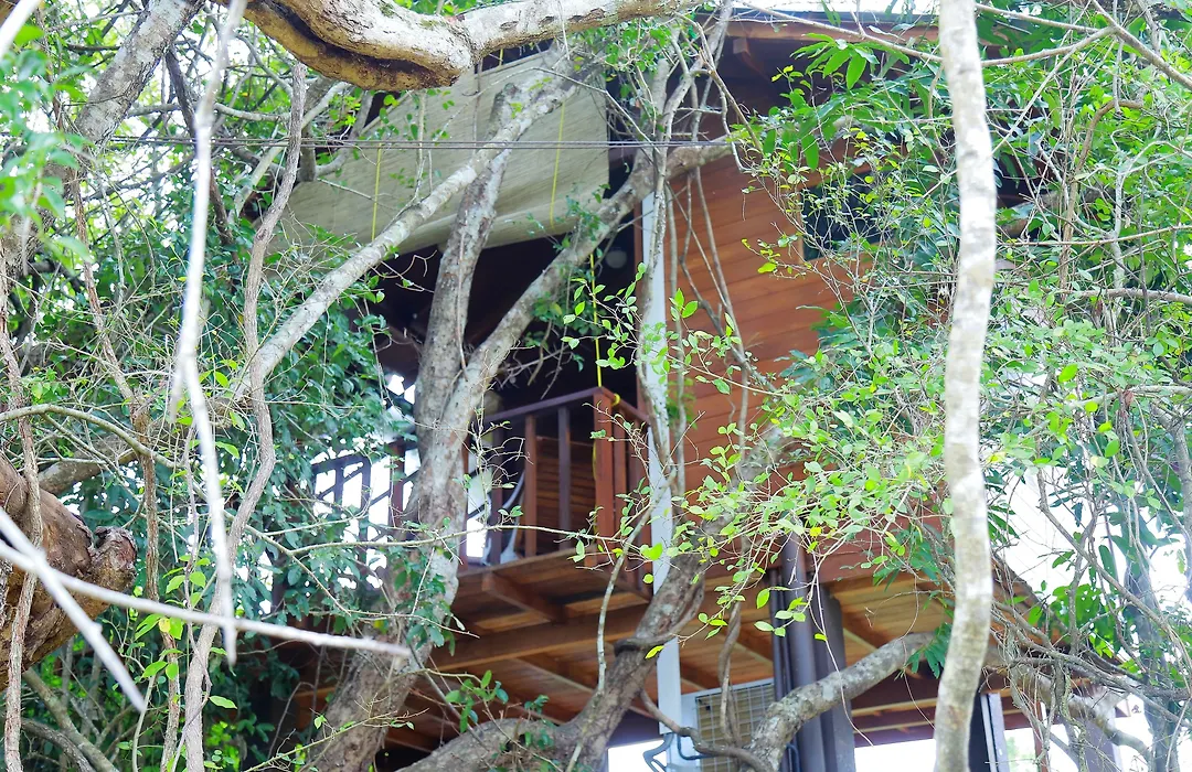 Sigiriya King'S Resort-1