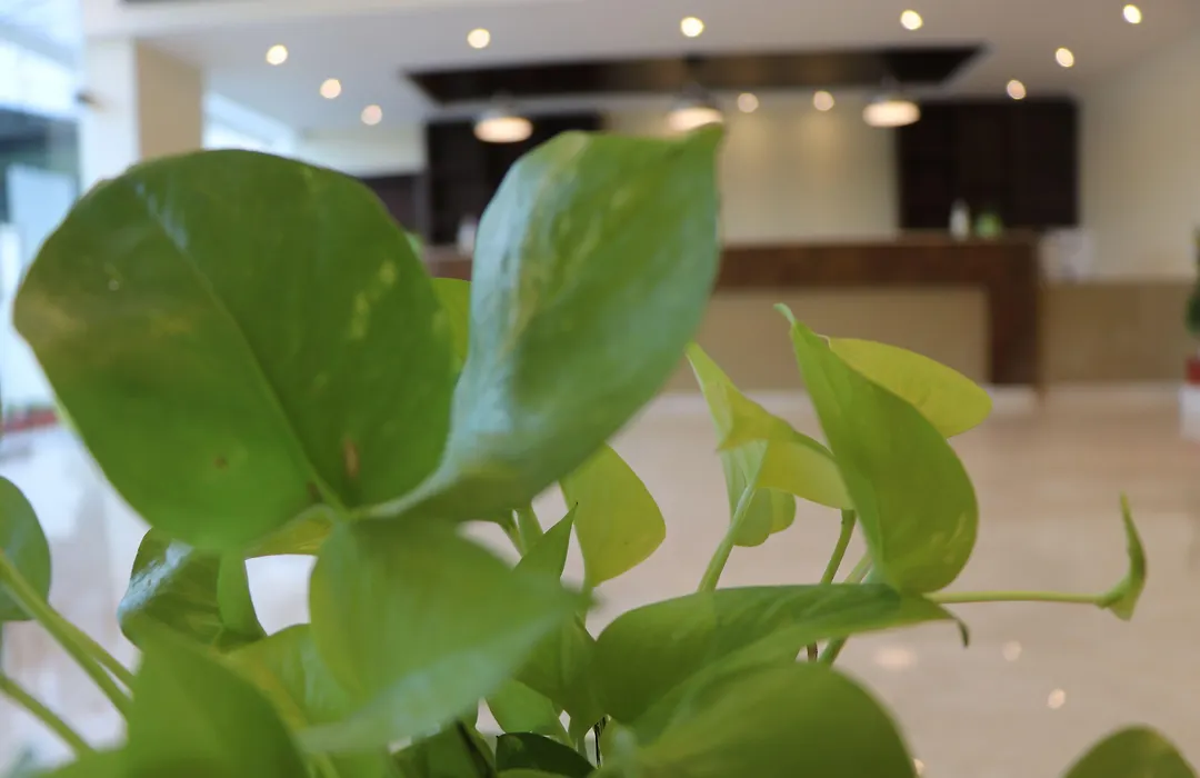 Gadiraju Palace Convention Centre & Hotel-1