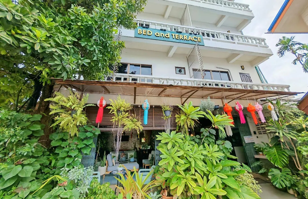 Bed And Terrace Guesthouse Chiang Mai-1