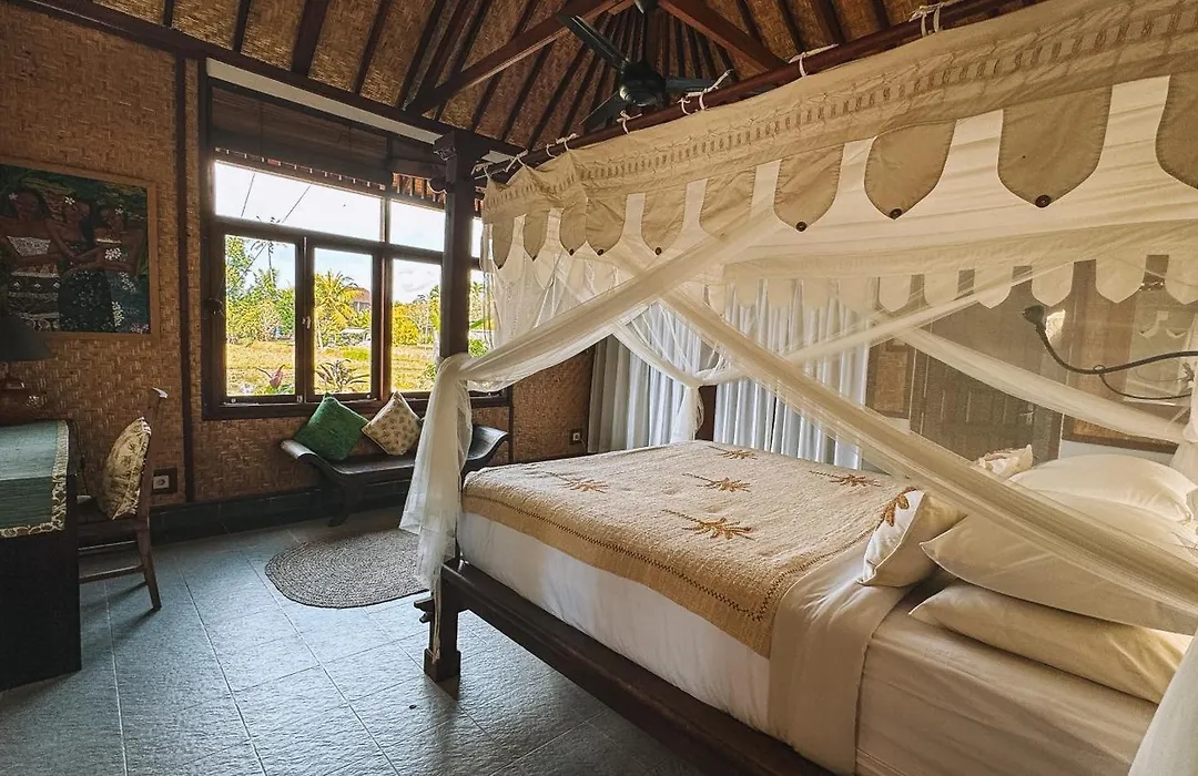 Bali Firefly Bnb-1