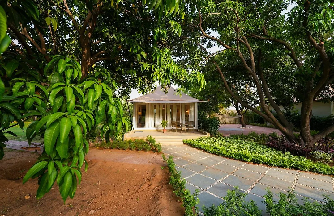 Orchard At Sarai - Luxury Tent Villas, Swimming Pool, Large Lawns, & Pet Friendly-1