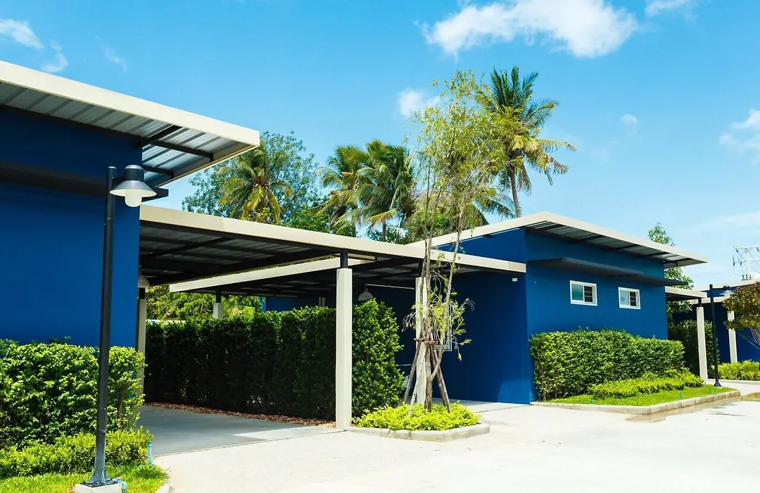P House-1
