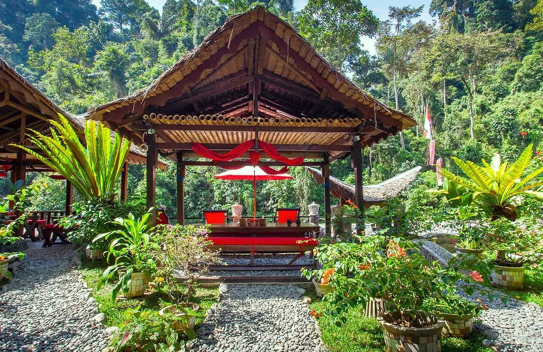 Ecotravel Cottages Bukit Lawang & Jungle Trekking-1